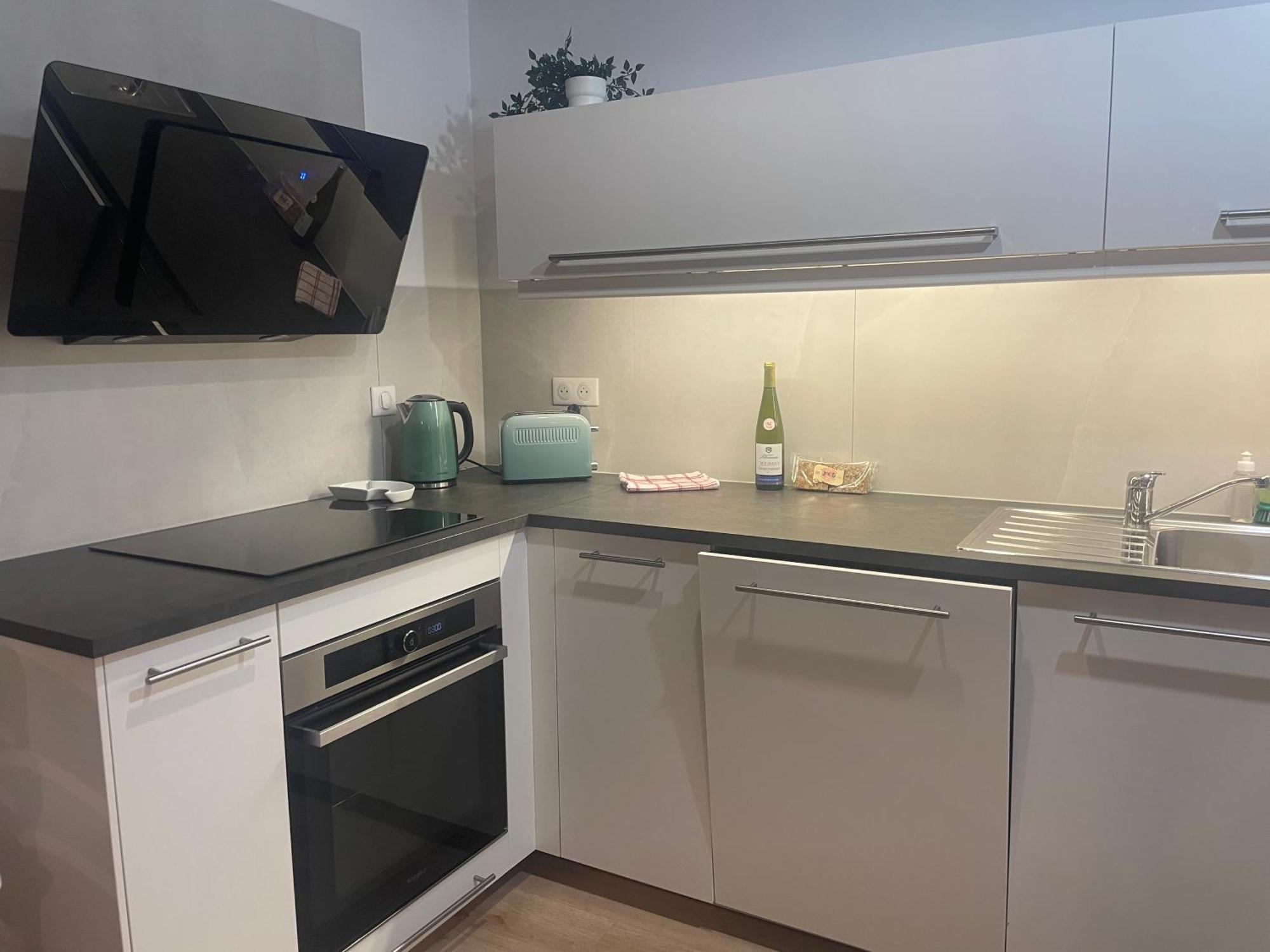 Maison Spacieuse Proche Strasbourg Ostwald Buitenkant foto
